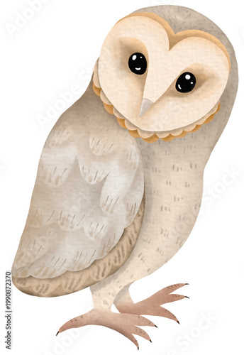 Slika na platnu Cute owl cartoon.Feathered animals.