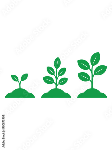 Green plant growth stages vector illustration showing evolution from sprout to mature seedling isolated on transparent background.