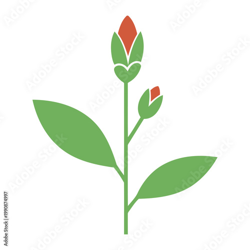 Simple flat Ononis flower with one leaf plant green