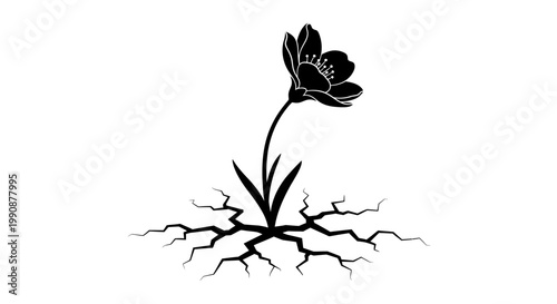A single flower blooms through cracked earth a striking silhouette