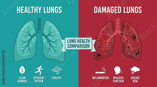 Comparison of healthy lungs versus damaged lungs with icons representing lung function and adverse effects