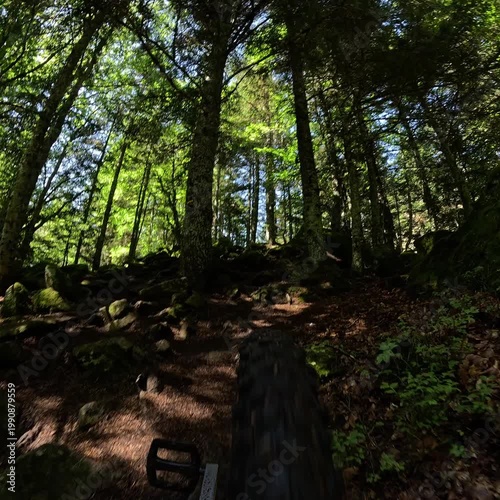 POV Unicycle Wheel Moving Through Rocky Forest Trail Slow Motion