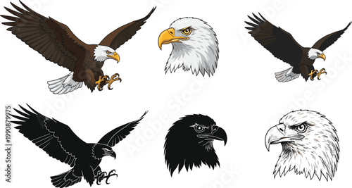 Eagle in flight, bald eagle head illustration, black silhouette, detailed feathers, majestic bird art, wildlife symbol, predator talons, USA