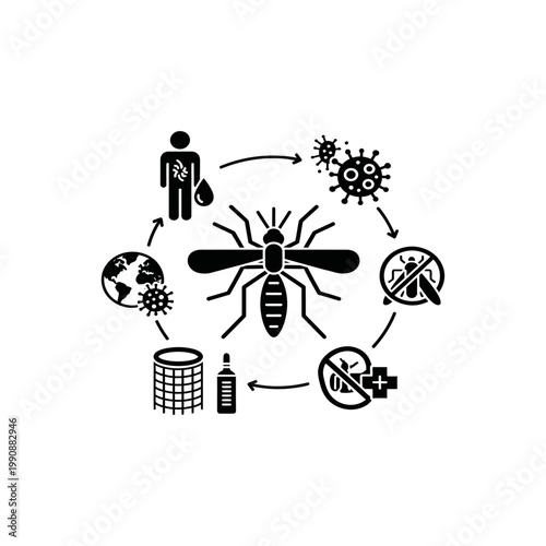 Mosquito Disease Transmission Infographic Vector Malaria Dengue Prevention Black Illustration
