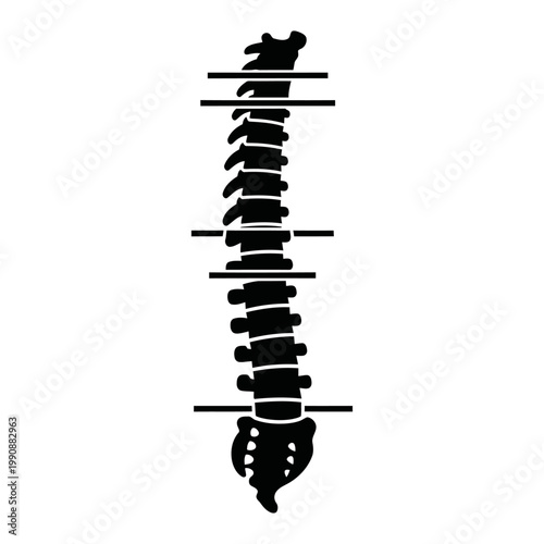 Spine Alignment Chart Vector Correct vs Incorrect Posture Black Illustration