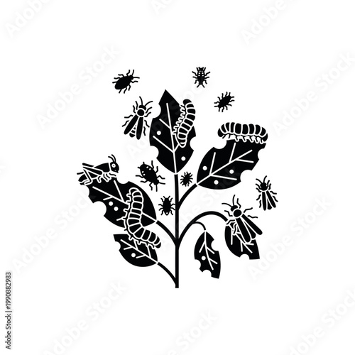 Pest Attack on Plant Diagram Vector Garden Insect and Pest Black Illustration