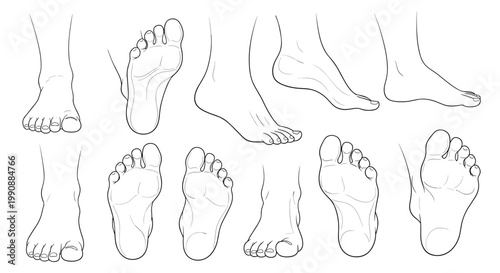 Technical line drawings of the human foot shown from multiple perspectives including the sole, heel, and side for anatomical study or art.