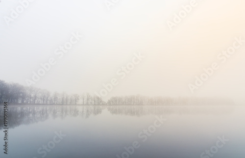 Tree line on pond shore in morning misty fog. Czech landscape background