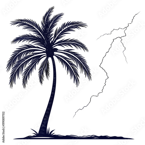 A striking illustration depicts a tall palm tree silhouetted against a bright white background with a jagged lightning bolt nearby high quality