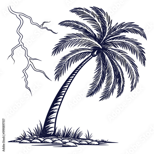 A detailed illustration depicts a leaning palm tree juxtaposed with a jagged lightning bolt against a plain background high quality professional modern