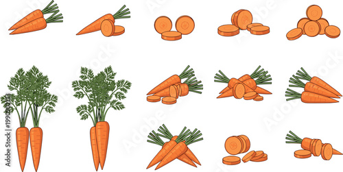 Carrot vegetable vector set with whole bunch sliced pieces and fresh organic farm produce healthy food illustration collection