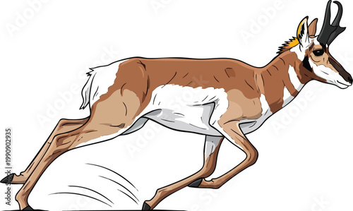 Pronghorn antelope running at full speed with hoofed animal north american plains animal portrait wild wildlife art illustration nature illustration