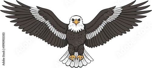 Bald eagle spreading wings full body white background with predator wildlife ornithology majestic strength independence background illustration isolated