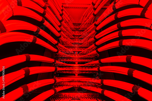 Bold Abstract Art in Red Shades and Lines