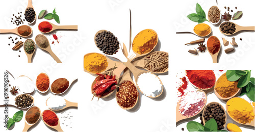 Spices and herbs set in wooden spoons vector illustration collection colorful seasonings ingredients isolated culinary design pack