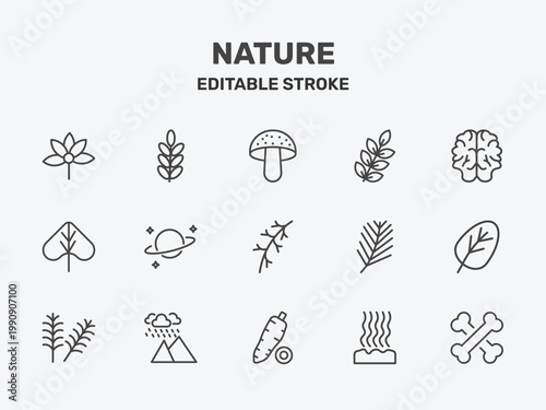 nature icon set with amanita, american mountain ash, human brian signs in flat outline style