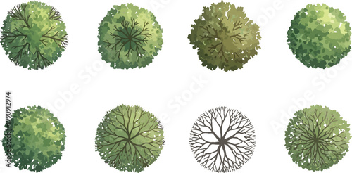 Top View Tree Illustrations Set for Architectural Plan and Landscape Design