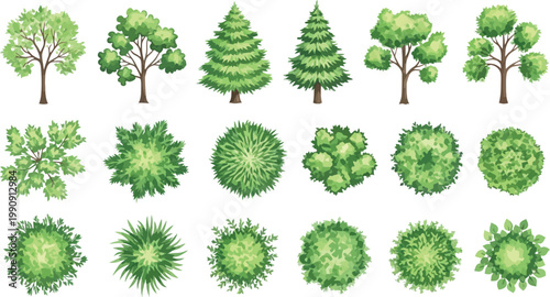 Set of Vector Illustrations of Trees and Bushes in Side and Top Views for Landscape Architecture Design