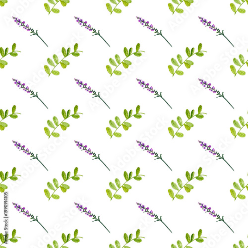 Pattern con ramoscelli di lavanda e foglie, illustrazione ad acquerello isolata su sfondo bianco. Sfondo delicato decorativo per stampa, tessile, carta
