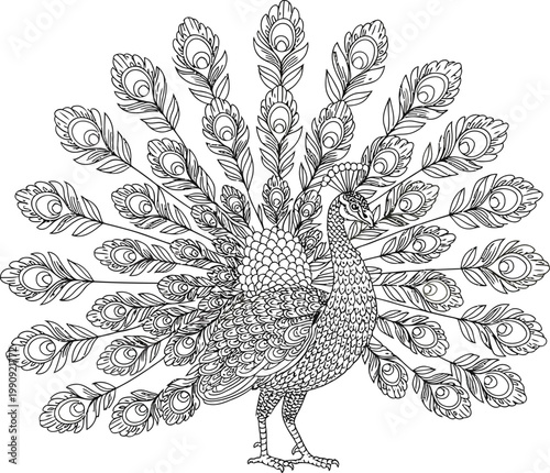 Detailed black and white line art of a peacock displaying its tail Keywords: peacock, bird