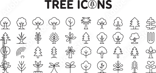 Tree icons set featuring various forest species like pine palm oak and deciduous plants for landscape gardening and park planning.