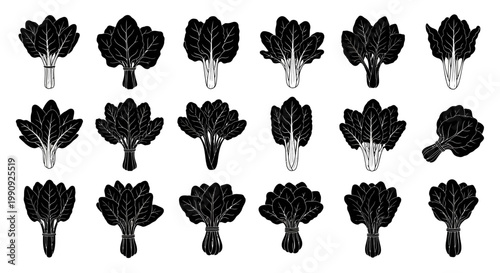 Collection of diverse fresh green leafy vegetables spinach kale and chard bundles illustrated in a clean modern flat design style with simple outlines and solid black fills
