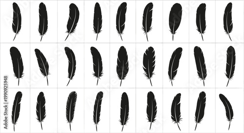 Obraz na płótnie Collection of thirty diverse black feather silhouettes isolated on a clean white