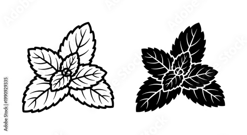 Fresh Mint Leaf Vector Icons in Outline and Silhouette Style