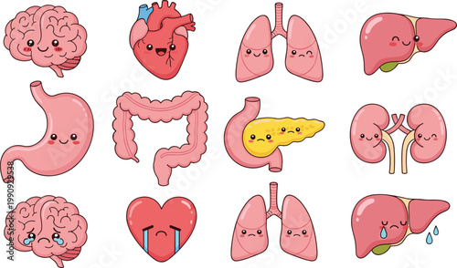 Cute Human Organs Cartoon Set with Brain, Heart, Lungs, Liver, Kidneys, Stomach, and Intestines, Adorable Medical Anatomy Vector Illustrations Collection