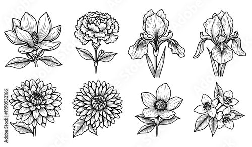 Antique engraved flower illustration set of six vintage botanical sketches isolated on white background vector