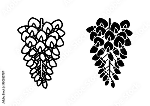 Wisteria Flower Line Art and Silhouette Vector Icons