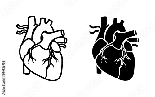 Human Heart Anatomical Vector Icon Set