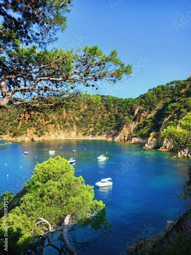 Panoramic view of a cove on the Costa Brava with boats anchored in crystal-clear waters, Catalonia. Pristine natural surroundings with steep cliffs and dense pine forests. Seascapes and coastal paths.