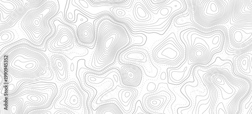 Stylized topographic contour map. Geographic line mountain relief. Abstract lines or wavy backdrop background. Cartography, topology, or terrain path concept. Vector with editable stroke