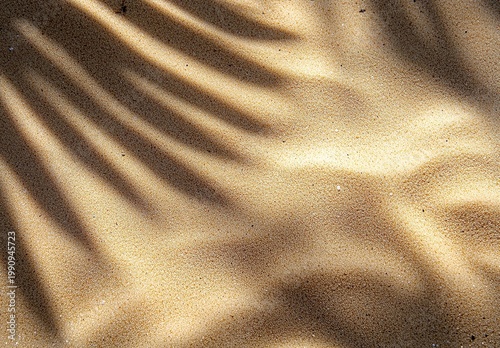 Shadows of palm fronds dance across rippling desert sand dunes creating a serene and tranquil abstract natural pattern