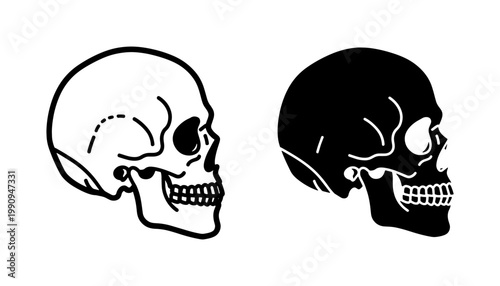 Human Skull Profile Vector Set in Black and White