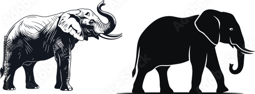 Photography Black and white elephant vector illustration set featuring African safari animals with tusks isolated on white background for wildlife nature design