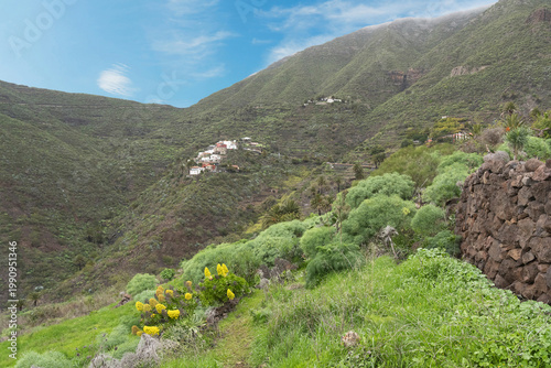 Tenerife island natural mountain landscape, Spain, Masca village