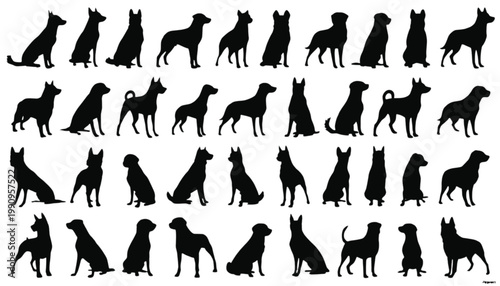 Dogs depicted as a comprehensive series of black silhouettes represent many different breeds standing or sitting in a professional layout against a plain white backdrop for versatile creative project.