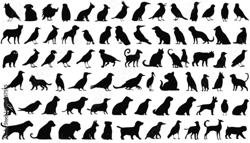 Animals presented as a diverse collection of dark silhouettes showcase various species of wild creatures arranged in a structured grid format on a clean and bright white background for easy editing.