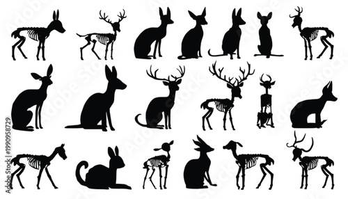 Animals silhouettes featuring anatomical skeletal structures are presented in a detailed artistic arrangement to highlight the bone composition of various creatures.