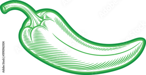 Chili Pepper Spicy Vegetable Vector Illustration