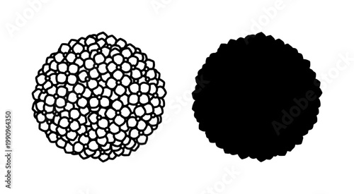 Black and white morula embryo stage vector icons