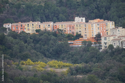 view from the top of the mountain of the colorful buildings of the town of carros, southern france and yellow blooming mimosa trees
