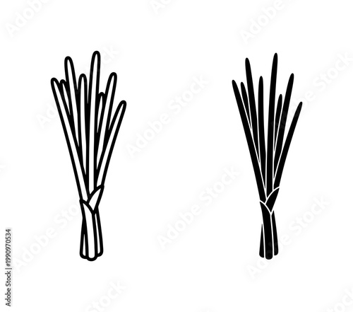 Lemongrass stalk outline and silhouette vector icons