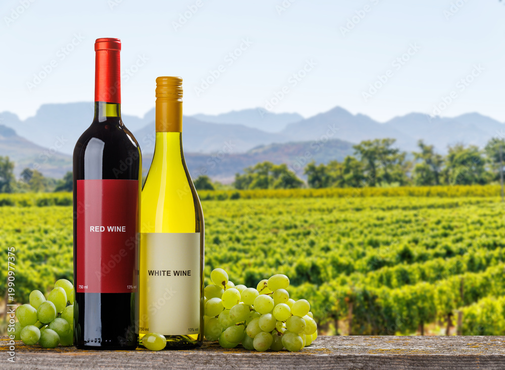 Fototapeta premium Red and white wine bottles with grapes
