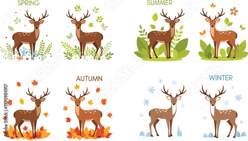 Deer in four seasons set showing spring, summer, autumn and winter with nature elements illustrated in flat style