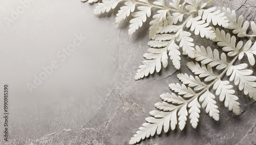 Minimal Fern Leaves Overlapping on Stone Surface Background with Wide Negative Space and Moody Light