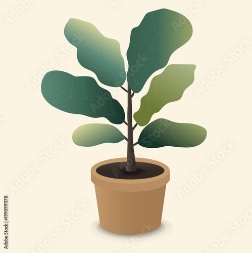 Ficus In Pot Vintage Poster