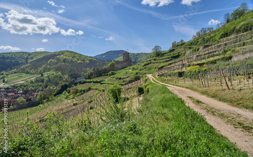 Balade à Keysersberg